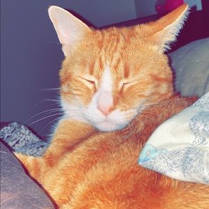 Meet your Posher, Kaylee